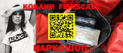 индика Дмитров