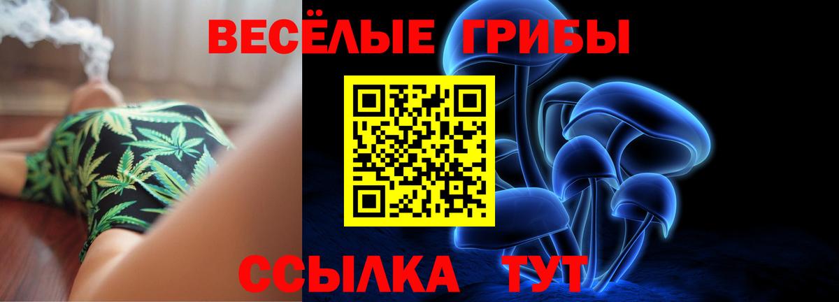 Галлюциногенные грибы MAGIC MUSHROOMS  Псилоцибиновые грибы Cubensis  Коломна  Вход с VPN 