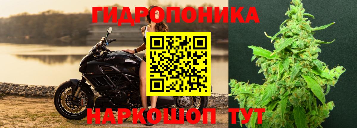 Марихуана OG Kush  Каннабис Ganja  Коломна  Вход с VPN  Бошки марихуана Amnesia 